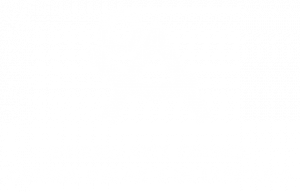 Ontario Arts Council logl